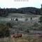 Wild Lodge