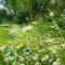 Weeke Brook - Quintessential thatched luxury Devon cottage