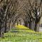 1 Bedroom Gem with Hagley Park at your doorstep