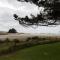 Pakiri Beach Holiday Park