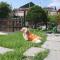 Yeoncheon Jjongi and Mary Pet Friendly Pension - Yeoncheon