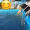 Yeoncheon Jjongi and Mary Pet Friendly Pension - Yeoncheon