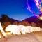 Gapyeong The Camp Caravan Glamping - Gapyeong Gapyeong The Camp Caravan Glamping - Gapyeong