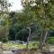 Sequoia River Front Cabins
