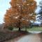 Three Springs Plus - Lovingston