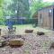 Tiny Tarheel Cozy Retreat Near UNC Tiny House - 教堂山