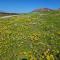 Camp Jakkalsfontein - Entire farm & Campsite