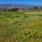 Camp Jakkalsfontein - Entire farm & Campsite