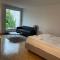 Charming studio in the city centre - Art 4 - 苏黎世