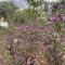 Mountain View Home - Kernville