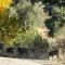Mountain View Home - Kernville