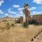Camp Gecko - PRIVATE NATURE RESERVE; TENTED CAMP AND CAMPSITE