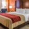 Comfort Inn & Suites Lakeland North I-4