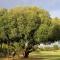 Fairview Manor - Modimolle