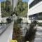 Ancla Real Apartamentos Loft