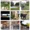 Gite - Domaine Les Peupliers - Lagnes
