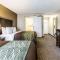 Comfort Inn Downtown