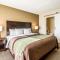 Comfort Inn Downtown