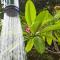 Charming bungalow in Saint Barthélemy with shared pool - Saint Barthelemy