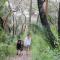 Pet Friendly and Easy Walk To Macmasters Beach