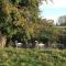 Thames Cottage, Old Mill Farm, Cotswold Water Park