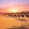 Aaladdin luxury camp - Merzouga