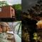 Treeful Treehouse Sustainable Resort Okinawa