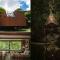 Treeful Treehouse Sustainable Resort Okinawa