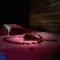 Appart Hotel Spa Perpignan