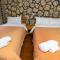 City Guest House