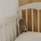 Sevan - Artanish Beach Resort