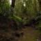 Blackwood Bush Retreat