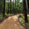 Blackwood Bush Retreat