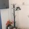 Apartmani Nova Topola