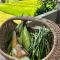 Kandy Living Homestay
