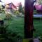 Vodoliy