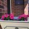 Cozy 2 bed villa in Narwee
