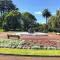 Park Views, Netflix, Free Wifi! - Auckland
