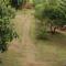 Aastha homestay