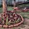 Aastha homestay