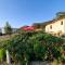 Guest House Vatra