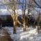 Mountain Den