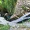 Guest House Vatra