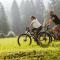 Posthotel Achenkirch Resort and Spa - Adults Only - 阿亨基希