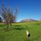 The Entire Barnhouse at Camp Jakkalsfontein, Tulbagh - Tulbagh