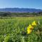 The Entire Barnhouse at Camp Jakkalsfontein, Tulbagh - Tulbagh