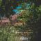 Natureland Efes Pension