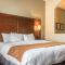 Comfort Suites Near Texas State University