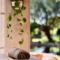 Guest Suite in Tuscan Farmhouse - Paarl