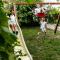 Weingut Guttmann - Apartment Schwalbennester